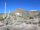 photo thumbnail #4