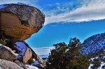 photo thumbnail #7