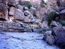 photo thumbnail #4