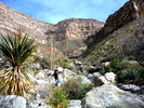 photo thumbnail #12