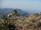 photo thumbnail #12