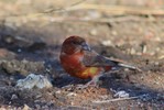 photo thumbnail #2