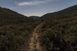photo thumbnail #14