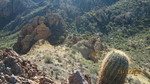 photo thumbnail #6