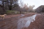 photo thumbnail #4