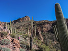 photo thumbnail #12