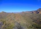photo thumbnail #11