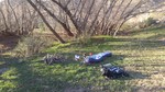 photo thumbnail #3