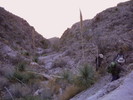 photo thumbnail #2