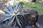 photo thumbnail #10