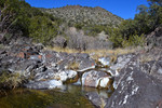 photo thumbnail #11
