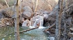 photo thumbnail #7