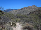 photo thumbnail #7