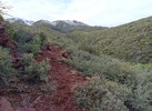 photo thumbnail #7