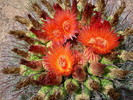 photo thumbnail #13