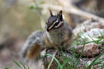 photo thumbnail #3