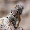 photo thumbnail #5