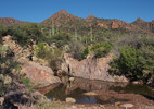 photo thumbnail #3