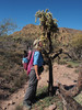 photo thumbnail #12