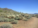 photo thumbnail #4