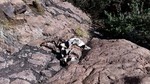 photo thumbnail #12