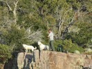 photo thumbnail #9