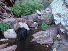 photo thumbnail #6