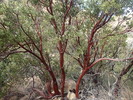 photo thumbnail #15