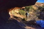 photo thumbnail #15