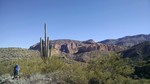 photo thumbnail #1