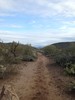photo thumbnail #1