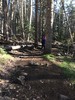 photo thumbnail #6