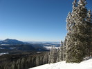 photo thumbnail #15