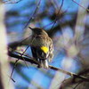photo thumbnail #5