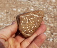 photo thumbnail #10