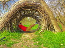 photo thumbnail #12