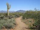 photo thumbnail #5