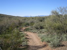 photo thumbnail #9