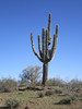 photo thumbnail #11