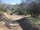 photo thumbnail #12