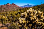 photo thumbnail #7