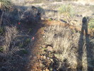 photo thumbnail #1