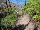 photo thumbnail #8