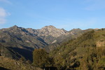 photo thumbnail #8
