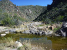 photo thumbnail #5
