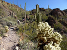 photo thumbnail #2