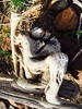 photo thumbnail #14