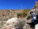 photo thumbnail #4