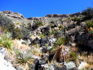 photo thumbnail #8
