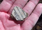 photo thumbnail #5